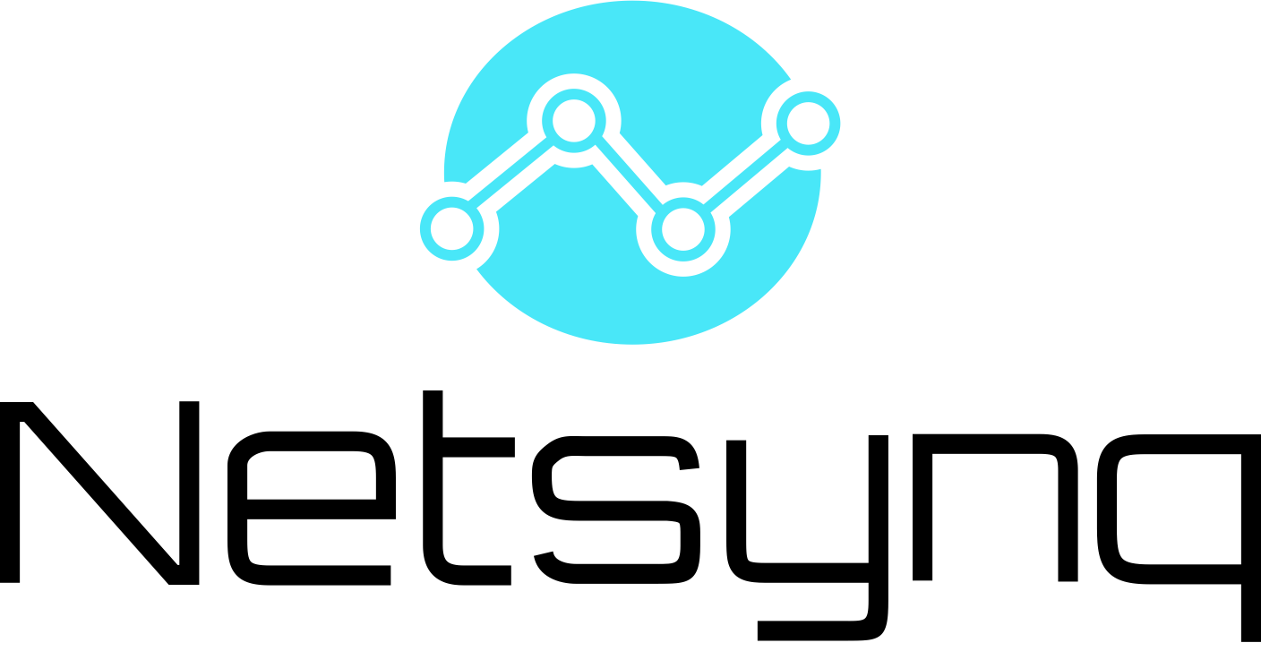 Netsynq Technologies logo